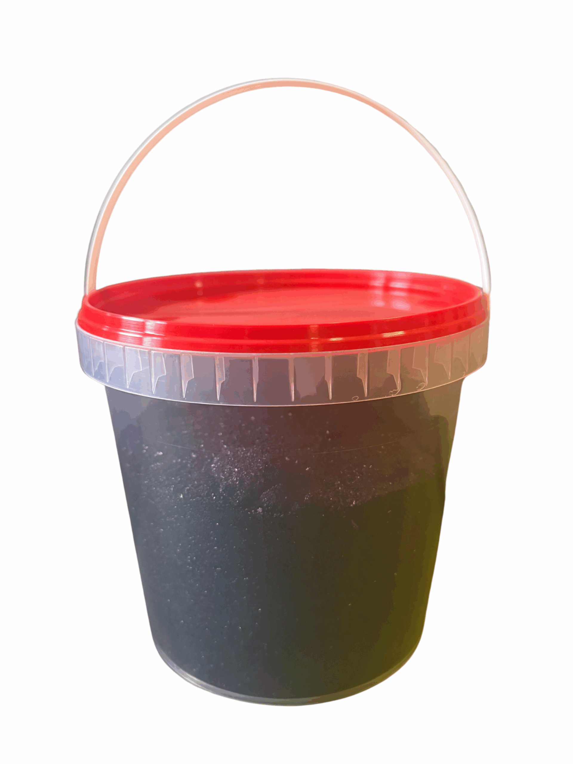 ziliegraudini scaled ziliegraudini scaled